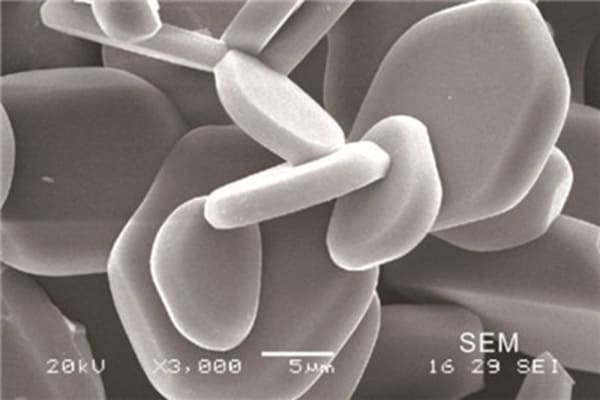 flaky aluminum oxide powder SEM